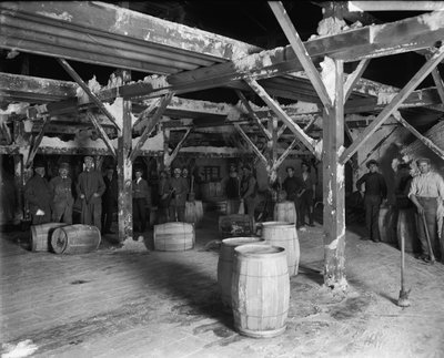 Del Ray Salt Co. by Detroit Publishing Co.